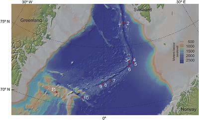 Mapping Microbial Abundance and Prevalence to Changing Oxygen Concentration in Deep-Sea Sediments Using Machine Learning and Differential Abundance